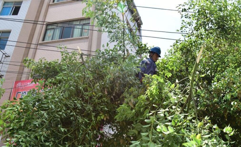 输电线路防外破监测